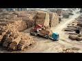 How Swiss Sawmill Turn Massive Spruce &amp; Pine Into Premium Lumber - Europe's Finest Mills Journey