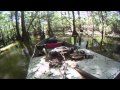 Deadhead Cypress Walk Mark Recover Saw.mp4 Deadhead Cypress Walk Mark Recover Saw.mp4