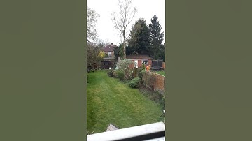 Tree surgeon timelapse