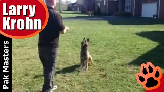 Dog Training - Hand Signals vs Verbal Commands