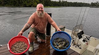 3 Days Living on the St Johns River Loads of Shrimp and Crabs