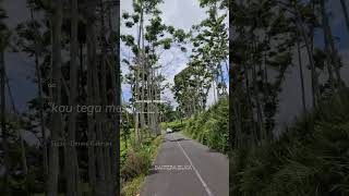 Download Lagu PHP  #sigar #dennycaknan MP3