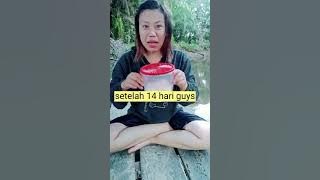 Tamba ikan adalah makanan khas suku dayak bulusu yg ada