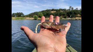 Do BASS eat RATS? A ton of post-spawn BASS action on the Senko, Swimbait, and RAT! (Kayak Fishing)
