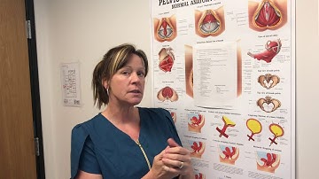 Normal Bladder Functioning vs. Overactive Bladder