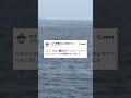 【Twitter切り抜き】妻オススメのエ◯動画 #shorts #twitter #出産 #魚 #vtuber