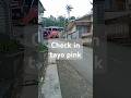 Terimakasih telah memilih alamsagita