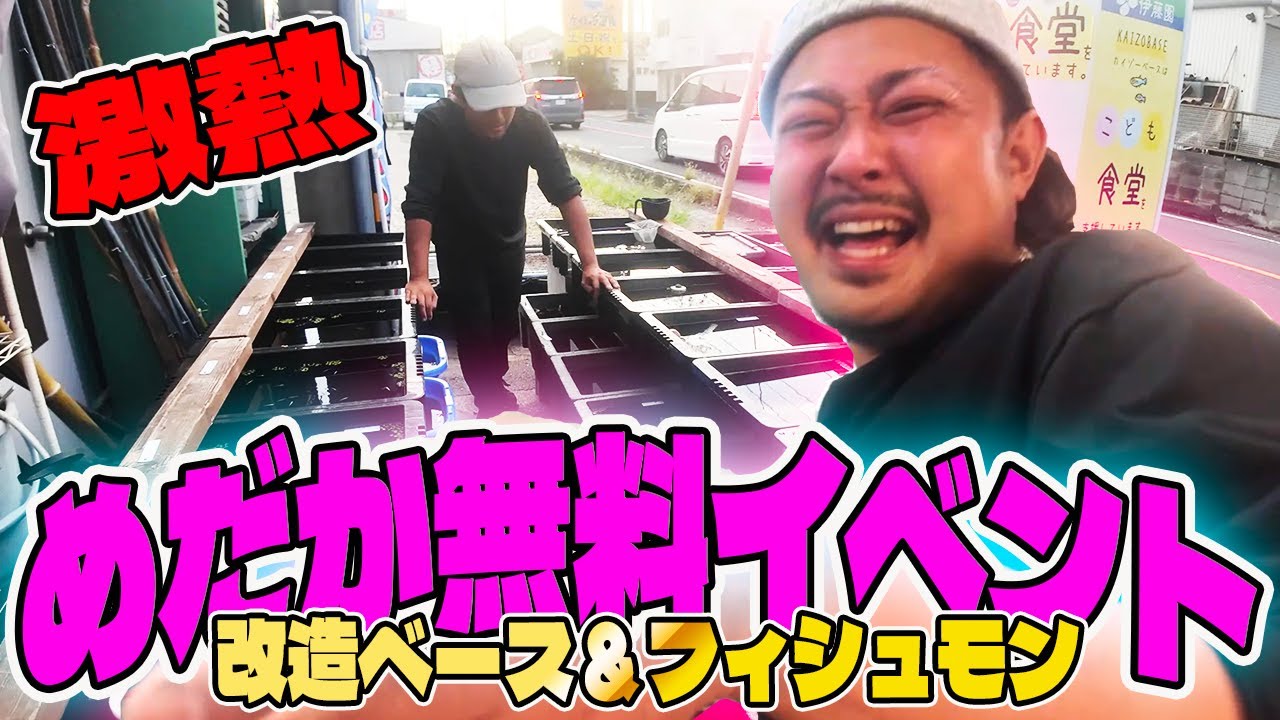 埼玉驚異のメダカ在庫数のKAIZOBASEがメダカ無料イベントってマジ？