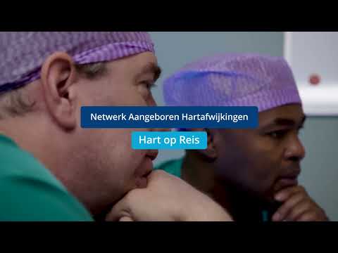 Netwerk Aangeboren Hartafwijkingen - Hart op reis