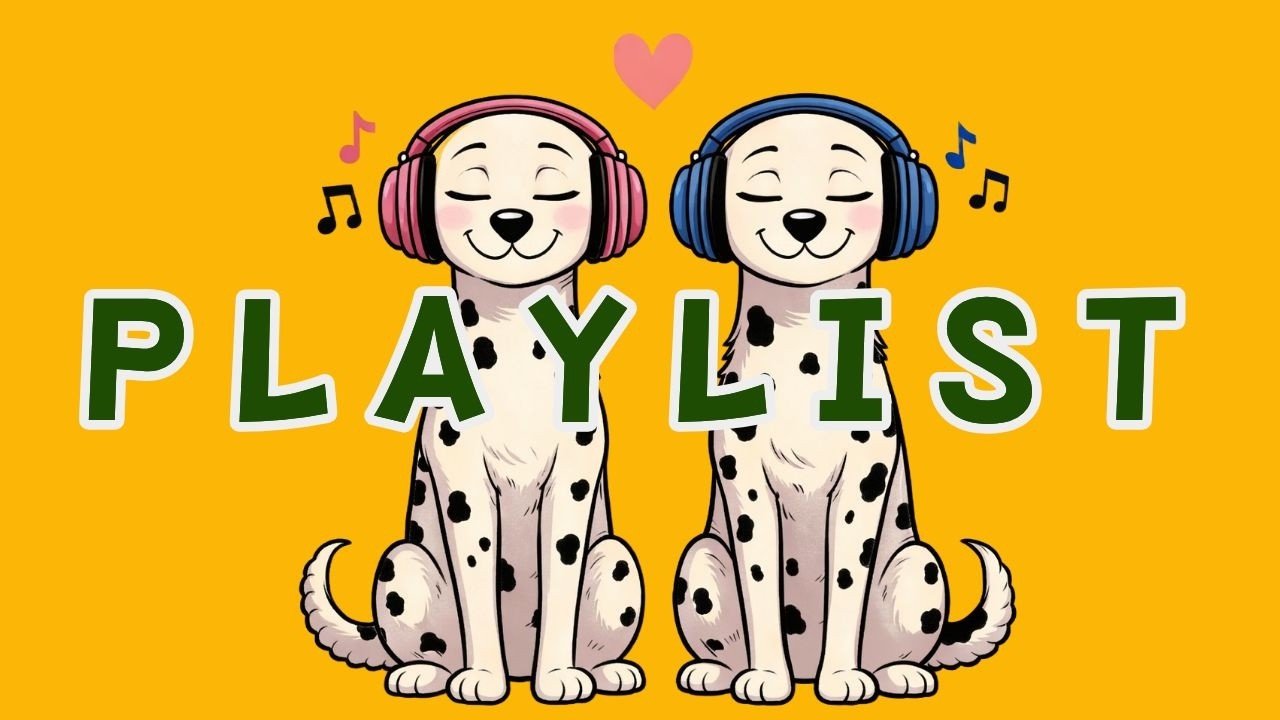 Playlist 💗 릴렉스~ 앤 분위기 업! 러블리 팝 로파이 재즈홉 K-pop 플레이리스트 Chill Lo-fi Jazzhop Groove