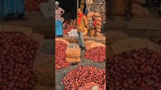 onion powder manufacturing business profit....#business #machine #startup #onionpowder#earnmoney
