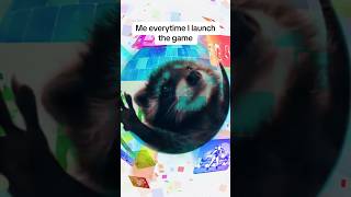 now I want a dance with this cute raccoon as a coach 😂 — #raccoon #raccoondance #justdance