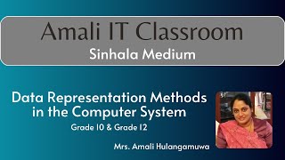 Data Representation Methods in the computer system
