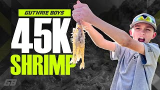 Harvesting and Eating Pond Raised Shrimp - Beaufort, SC (Catch Clean Cook)