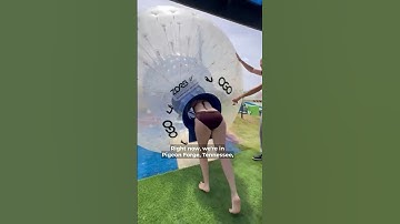 Zou jij gaan zorben? #travelfamily #nomadfam #rvlife #zorbing #outdoorgravitypark #mypigeonforge