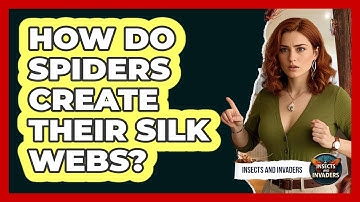 How Do Spiders Create Their Silk Webs? - Insects and Invaders