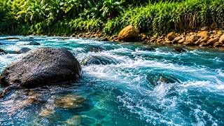 Drift into Deep Sleep with Peaceful River Sounds | Natural Water Ambience