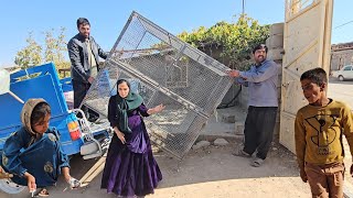 Starting a new life for Ruqyah! Cleaning the house and moving things to the cattle farm
