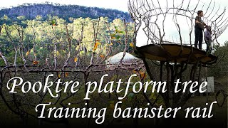 Pooktre platform tree, training banister rail.
