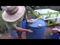 Beginning of video