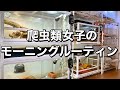 【ルーティン】20匹の爬虫類と暮らす女子のモーニングルーティン⛅️