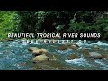 Beautiful Tropical River Sounds for Deep Relaxation