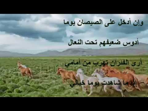 أقوى رجل في التاريخ أرى أني إذا ما الحرب قامت أرابط خلف ربات الحجال لابن سودون المصري