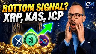XRP, KAS & ICP: Is This the BOTTOM? (Spoiler)