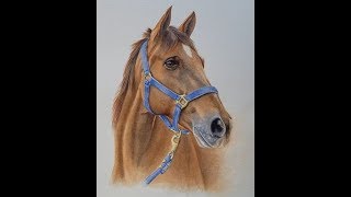 How to Paint a Realistic Horse in Watercolor, Course Preview