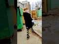10 февраля 2023 г.