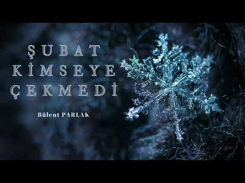 Şubat Kimseye Çekmedi | Şiir | Bülent PARLAK