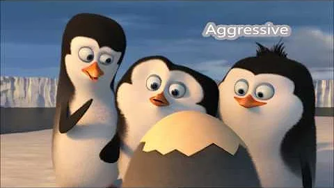 Assertiveness examples