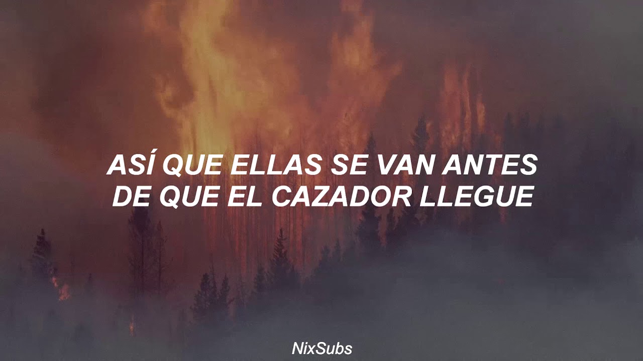 Aurora Apple Tree (Traducida al Español) YouTube