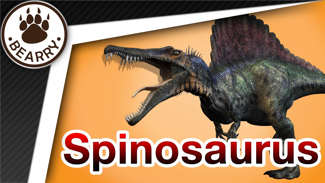 Spinosaurus สไปโนซอรัส ไดโนเสาร์กินเนื้อที่ใหญ่ที่สุดในโลก |  สัตว์ดึกดำบรรพ์ - Youtube