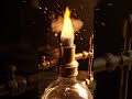 তাহলে কি আমাদের ধারনা ভুল! #Meowrani #science #sciencefacts #shorts #ytshorts