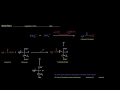 Urea Cycle (Part 4 of 5) - Regulation: Long Term vs Short Term