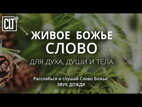 Расслабься в Божьем присутствии | Слово Божье под звук дождя | Молитва | Relaxing