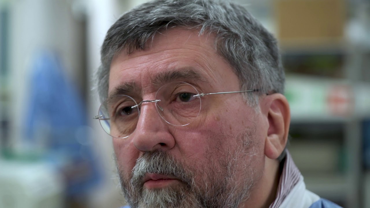 Using Gene Editing To Develop an African Swine Vaccine