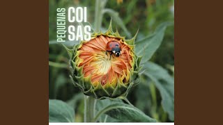 Download Lagu Pequenas Coisas MP3