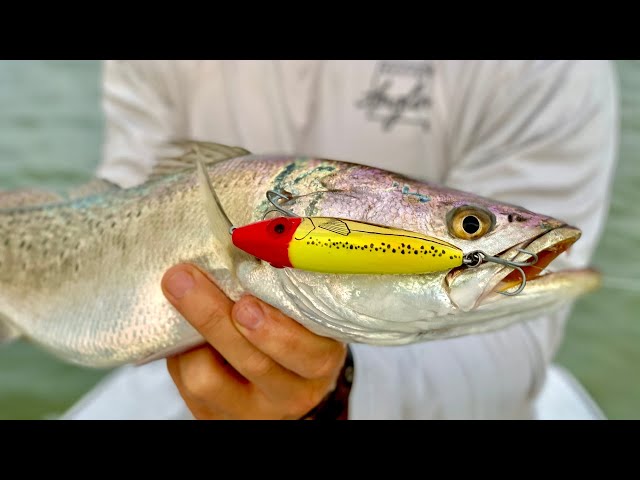 Best Way To Retrieve Topwater Lures On A Kayak 