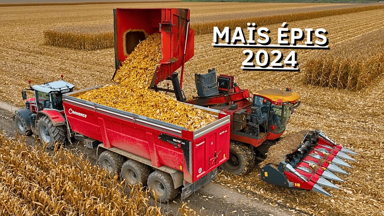 🤠 MOISSON de MAÏS ÉPIS 2024 | Corn Picker Bourgoin B1 🌽💨