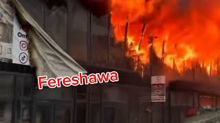 Download Lagu #ufff #beruang #wntt #bayern #nama#gadi #sisu #berurat #irtibat #umamesi #ferefire #subscribe MP3