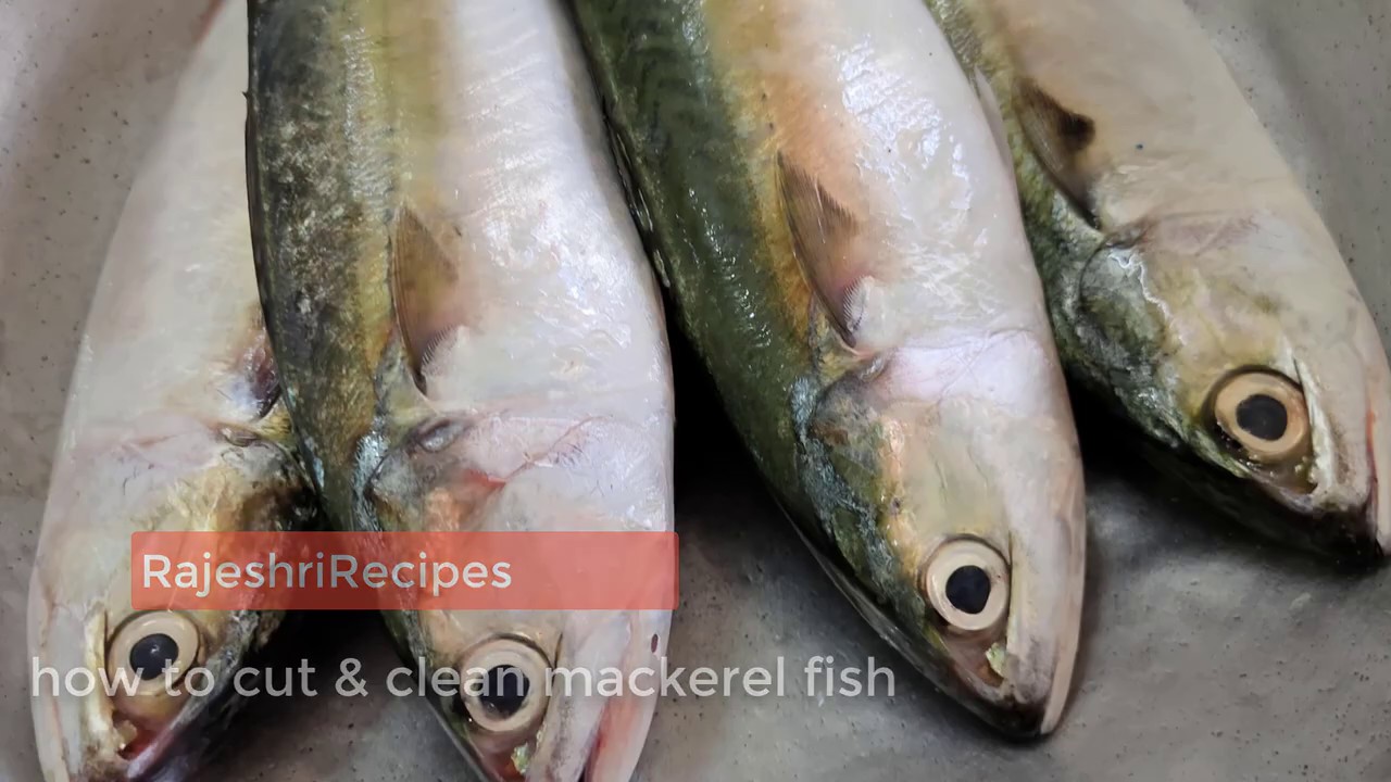 How to Cut and Clean Mackerel Fish
