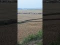@আগে নিজেকে পরিবর্তন করতে হবে #animals #cow #amazing #village #cowboys