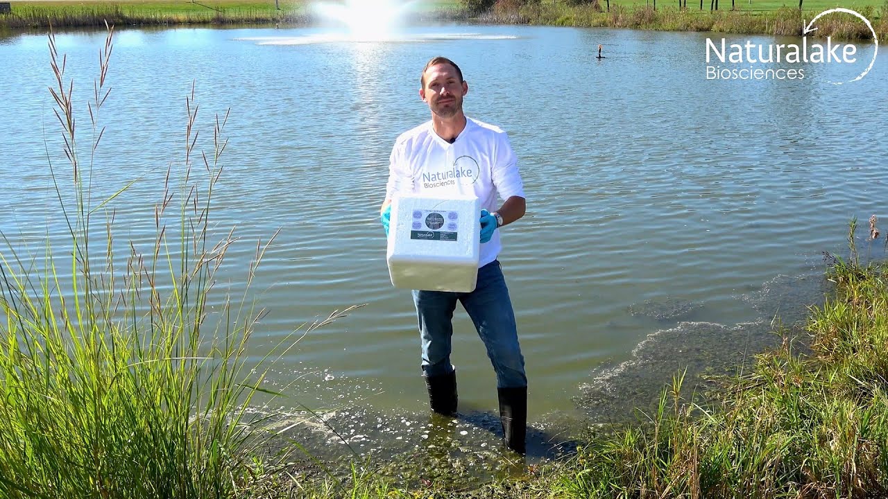 Collecting Algae Samples YouTube