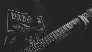 DeathFuckingWound - Flesh Murals