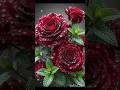 Beautiful rose flower 💐🌹#statusvideo #bollywoodsongs #flowers #youtubeshorts #shorts #shortfeed