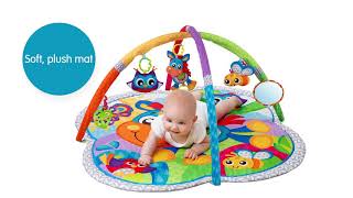 0186991 Clip Clip Musical Activity Gym