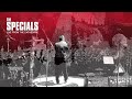 The Specials - The Lunatics (Live From The Cathedral / Visualiser)