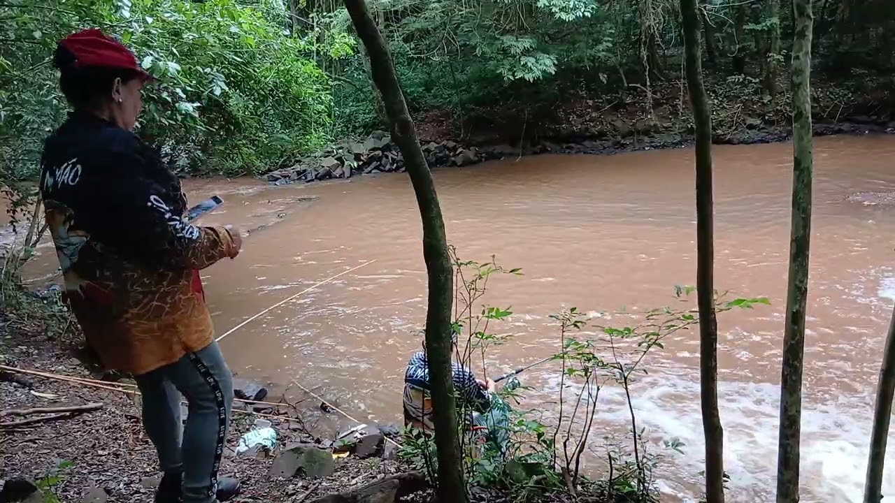 Pescaria de  tela pias   no rio quatro pontes no Paraná 